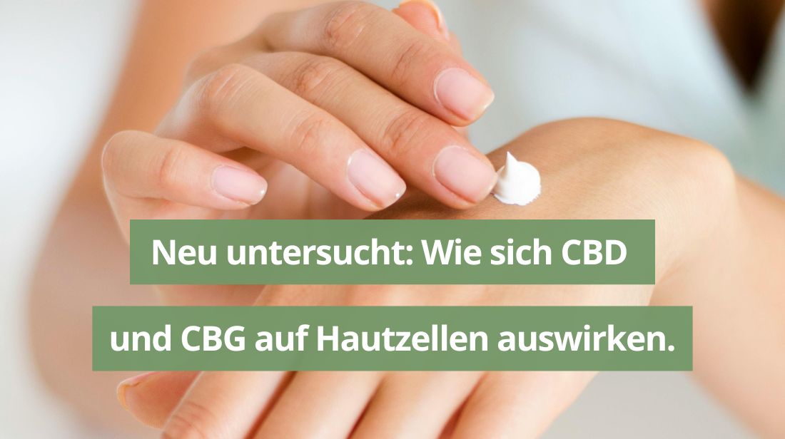 Im Labor geprüft: Wie sich CBD und CBG auf Hautzellen auswirken.