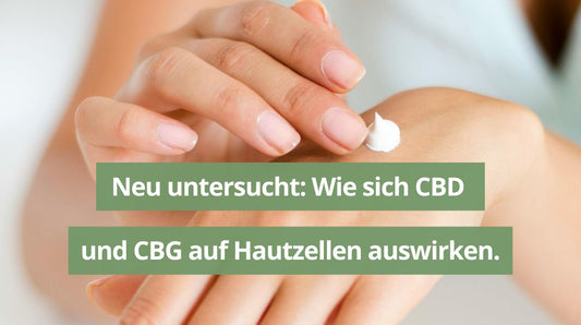 Im Labor geprüft: Wie sich CBD und CBG auf Hautzellen auswirken.