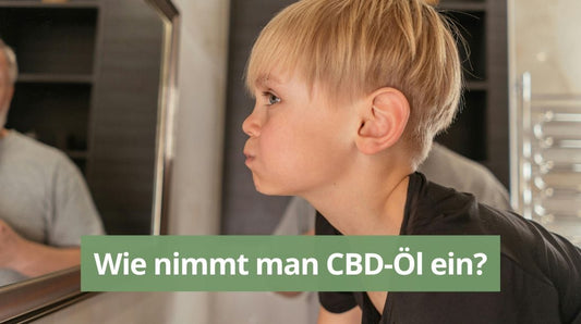 Wie nimmt man CBD Öl ein? Was die meisten falsch machen und was wirklich zählt