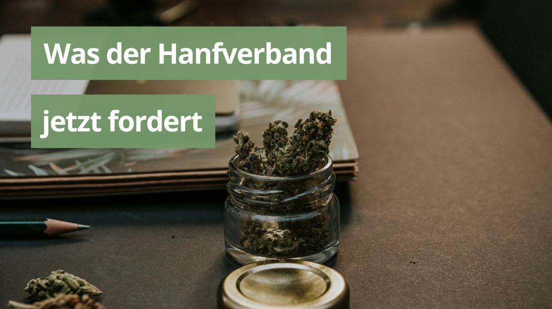 Was der Hanfverband jetzt fordert