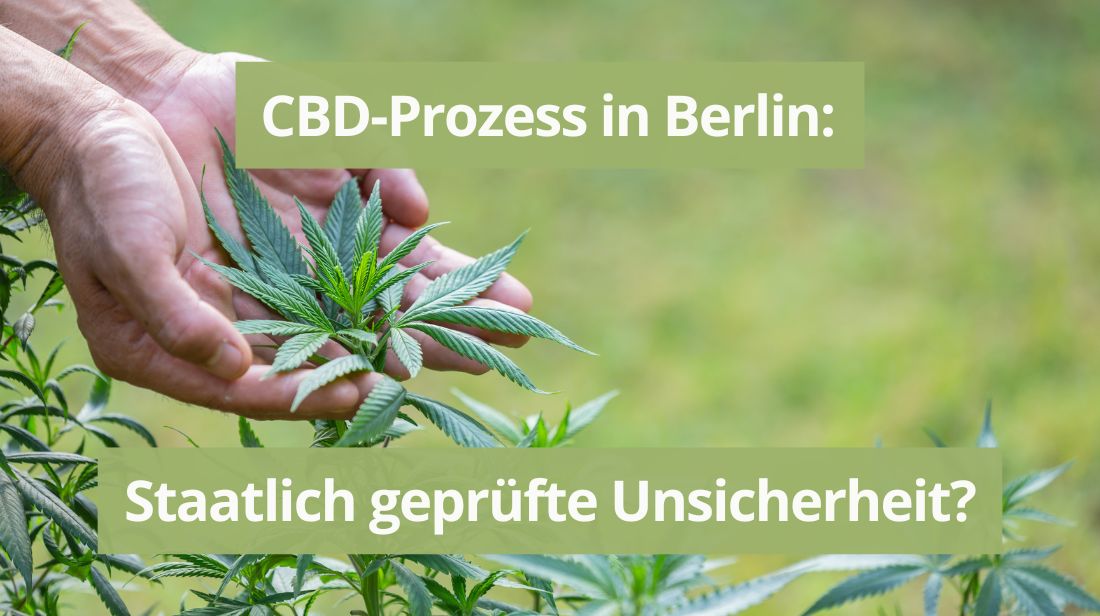 CBD-Prozess in Berlin: Staatlich geprüfte Unsicherheit?