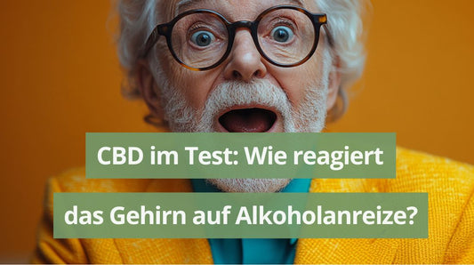 CBD im Test: Wie reagiert das Gehirn auf Alkoholanreize?