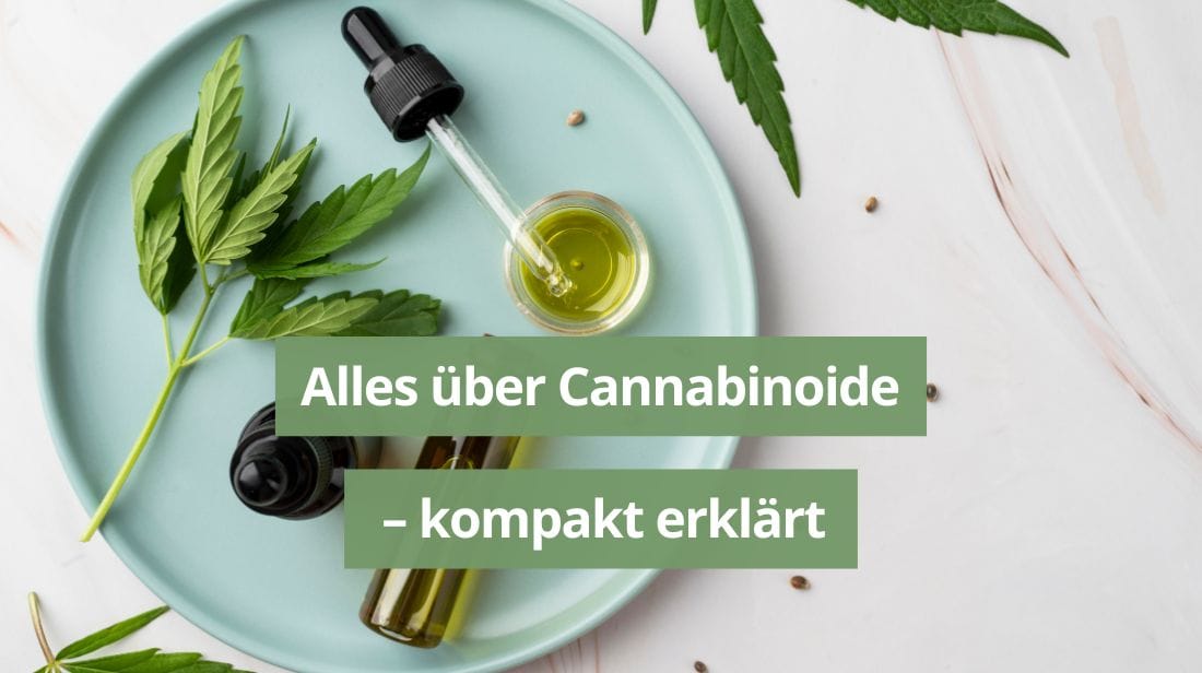 Glossar: Alles über Cannabinoide – kompakt erklärt.