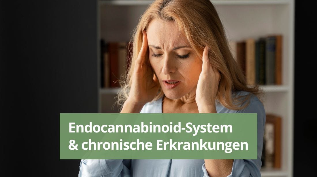 Endocannabinoid-System & chronische Erkrankungen.