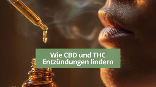 Wie CBD und THC Entzündungen lindern.