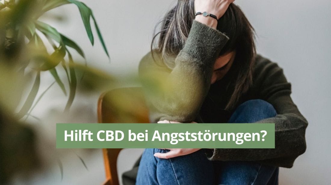 Durchbruch: CBD hilft bei Angststörungen.