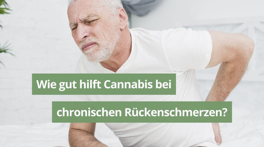 Wie gut hilft Cannabis bei chronischen Rückenschmerzen?
