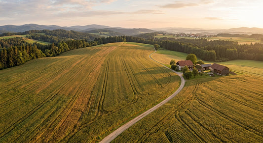 Hanf im 21. Jahrhundert – Hanffeld in Österreich aus der Vogelperspektive