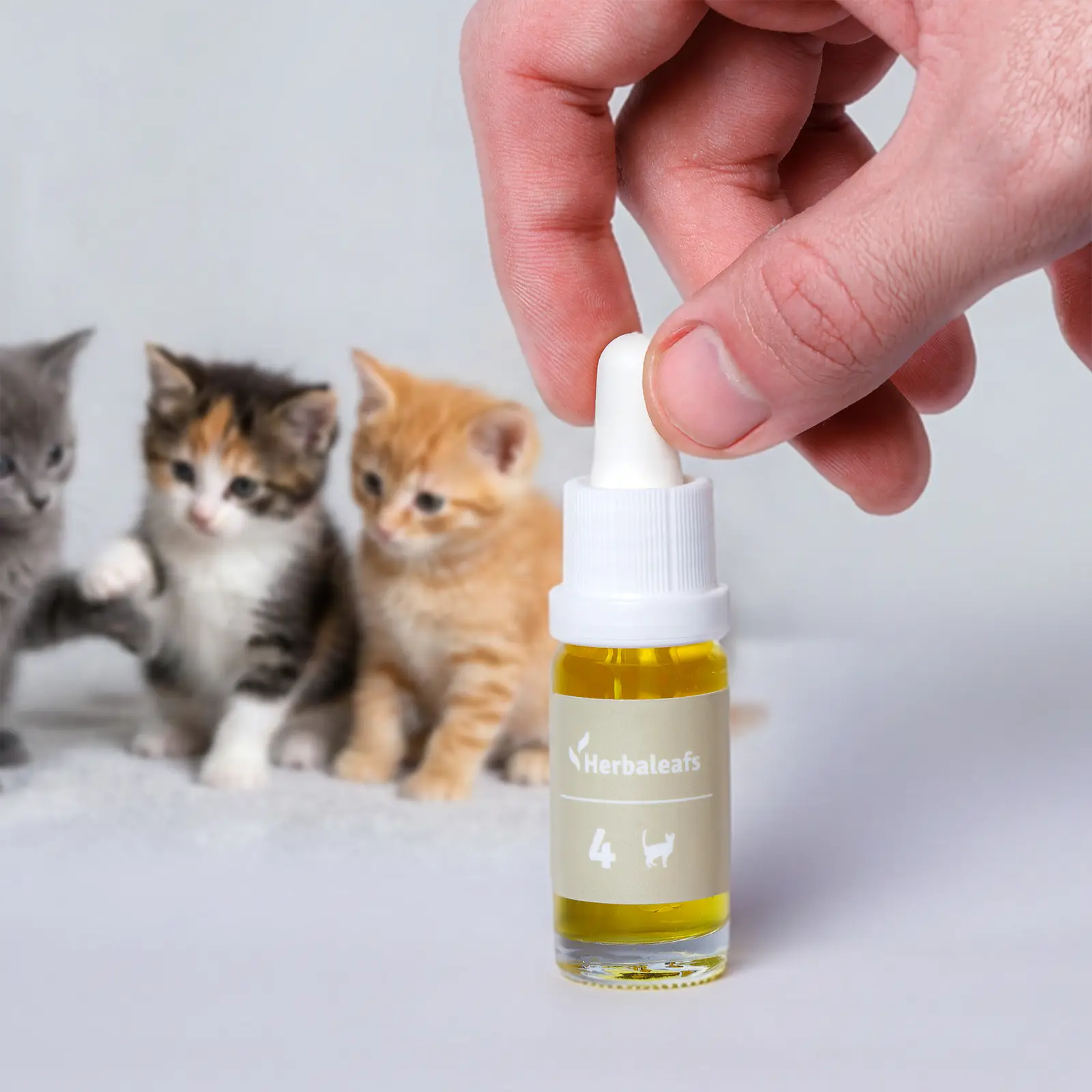 Herbaleafs vollspektrum cbd Öl katzen mit 3 echten Katzen im Hintergrund.